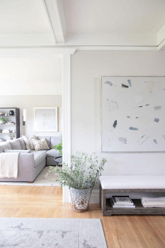 Crystal Palecek Design Living Room